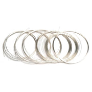 Silver Metals