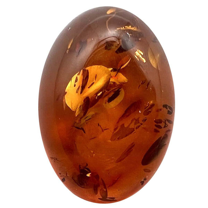 Closeout Oval 14mm x 10mm Amber Baltic Cabochon - Otto Frei