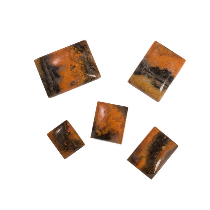 Cushion Bumble Bee Jasper - Otto Frei