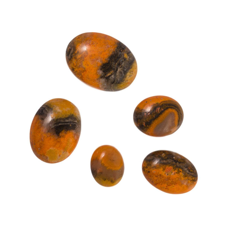 Oval Bumble Bee Jasper - Otto Frei