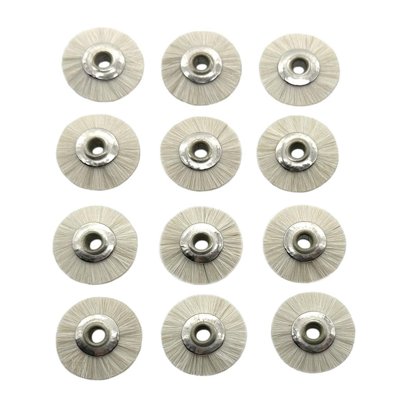 Pack-12 Extra Soft 3/4" Natural Bristle Brushes-Unmounted With 1/8" Hole - Otto Frei