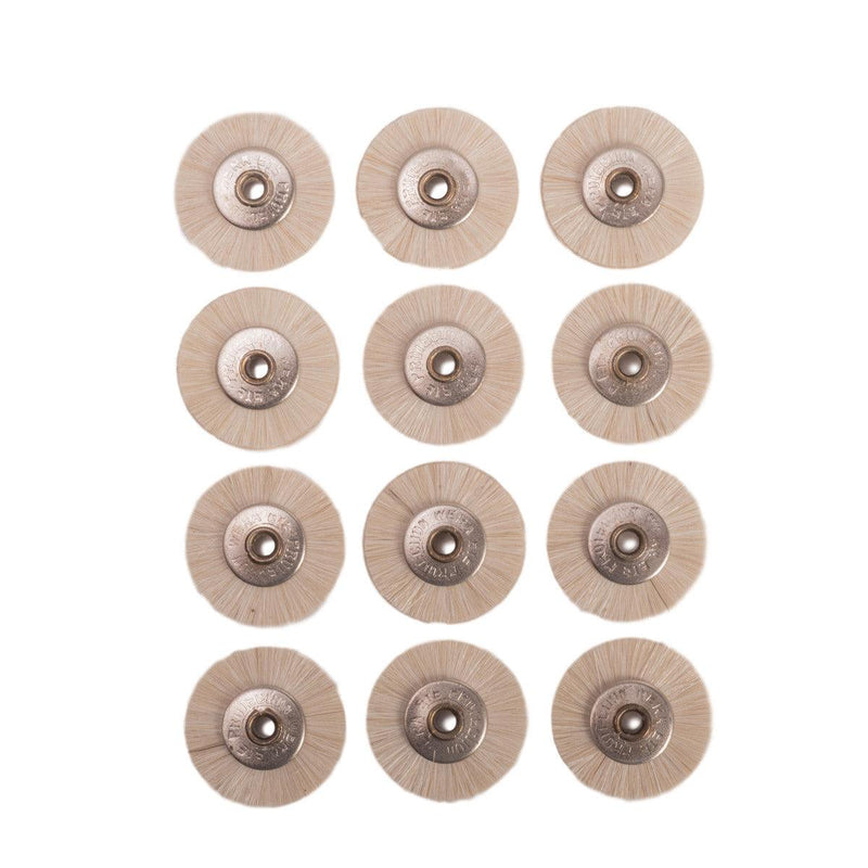 Pack-12 Soft 3/4" Natural Bristle Brushes-Unmounted With 3/32" Hole - Otto Frei
