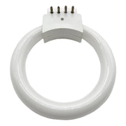 Replacement Fluorescent Bulb 10W-70mm ID Older Model Semi-Square With 4 Pins - Otto Frei