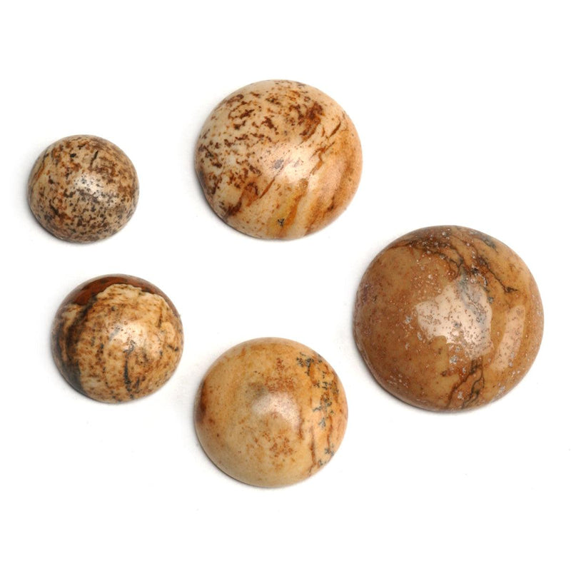 Round Picture Jasper Cabochon - Otto Frei